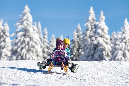 Kinder auf einem Schlitten in einer verschneiten Landschaft