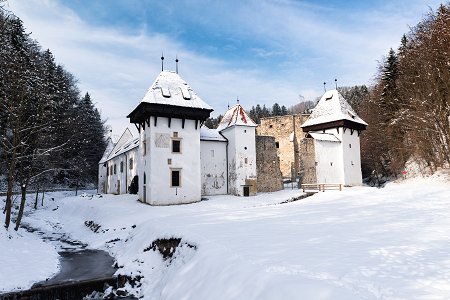 Žička Kartuzija Monastery in winter