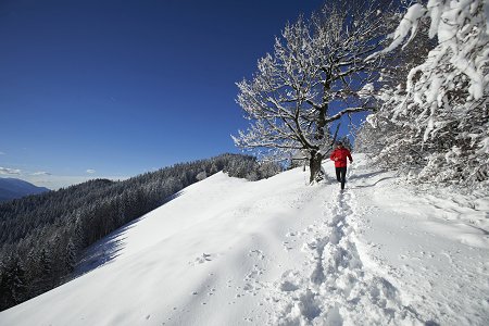 The man runs across the snowy landscape