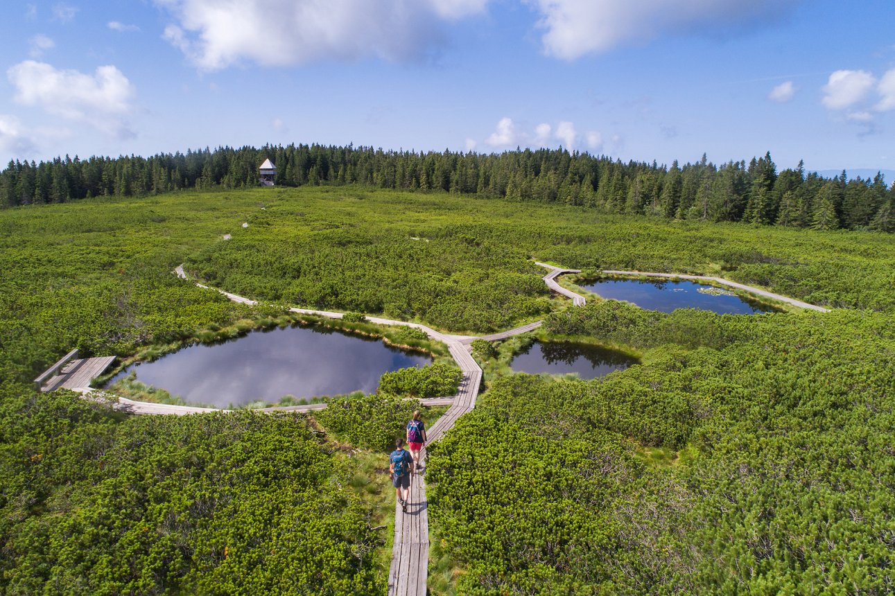 https://www.rogla-pohorje.si/img/2019090615284622/mid/sgt_list_big/168191-F013172-lovrenska_jezera_rogla_jost_gantar_8-photo-m.jpg?m=1567776470