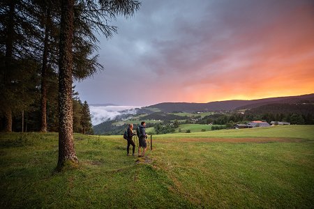 168209-F013178-rogla_pohorje_pohodnika_jost_gantar_4-photo-m.jpg
