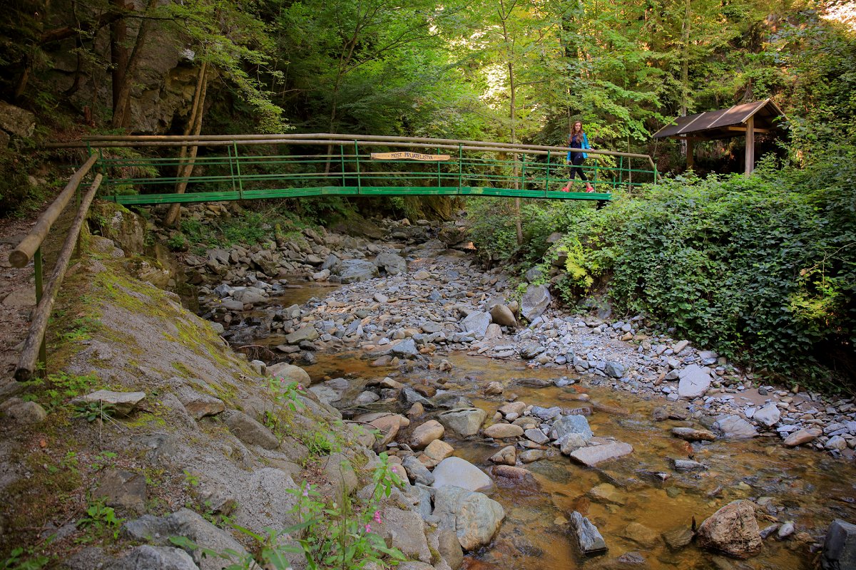 Brücke über den Fluss in Oplotniški vintgar