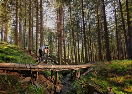 Zrece - Bike Park Rogla - Dan Briski - 05.jpg