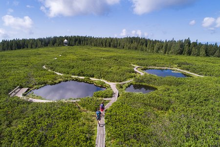 Lovrenška jezera, Rogla