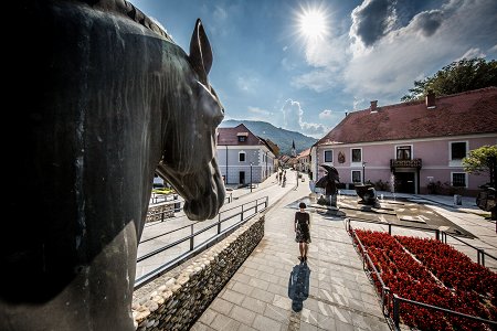 Kip konja v Slovenjskih Konjicah