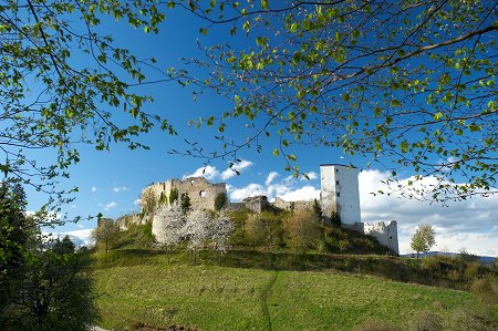 Alt Schloss in Slovenske Konjice