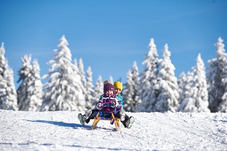 Rogla_Zima_2018_062_pohorska_vasica_otroci_sankanje (10)