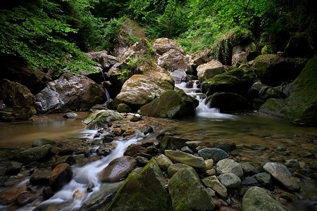 RP0092_Oplotnica_Oplotniski_vintgar_04_Dan _Briski.jpg