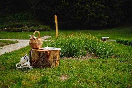 Zeliščni vrt _Foto Nareks-Izidor Kotnik - zmanjšana