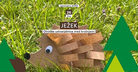 362193381_623201783243625_3979041554056926851_n