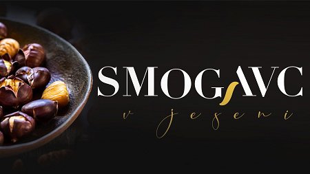 384460721_906863281030818_7845295338566903479_n