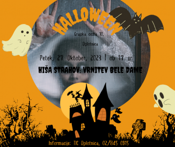 HIŠA STRAK FB IN INSATGARM POST