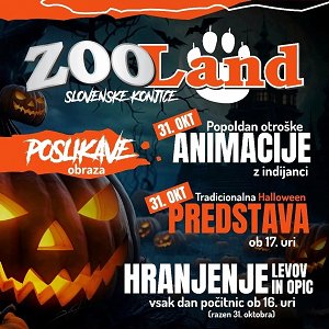 387874852_715259177295163_2637803073296175985_n