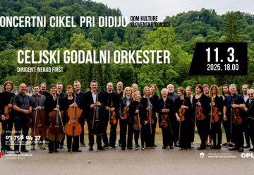 celjski godalni orkester_spletna stran