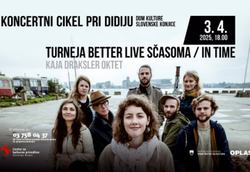 SPLETNA STRAN (1)