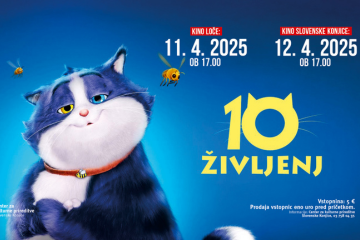 spletna stran-kino