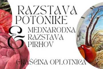 spletna stran-razstava potonike
