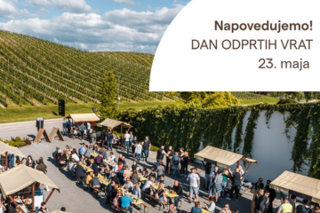 spletna stran-dan odprtih vrat