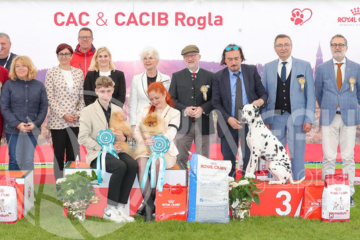 spletna stran-cacib_rogla