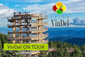 spletna stran-vindelsalon