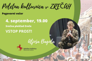 spletna stran-poletna kulturnica