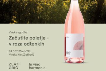 spletna stran-ZLATIGRIČ