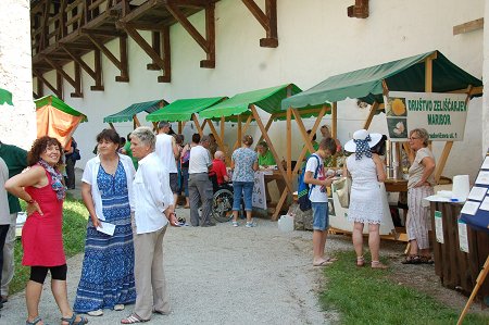 508574229_1296043469191238_4848610024682182499_n (1)