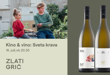 spletna stran_kino&vino