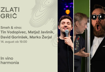 spletna stran_smeh&vino