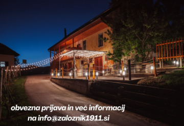 spletna stran_vina založnik