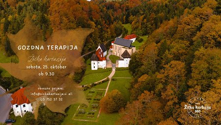 GOZDNA TERAPIJA naslovna fotografija 25. 10. 2025