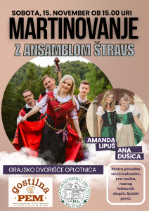 plakat dvorišče
