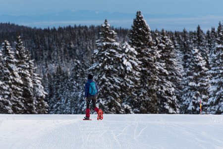 F004179-dsc_4159_orig_jpg-photo-l_iztok_medja