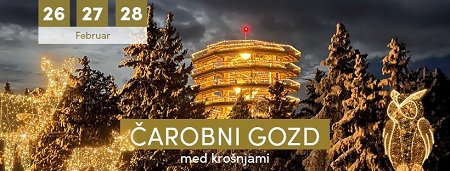 Čarobni gozd med krošnjami