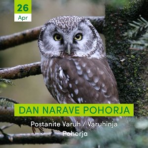 4e9d681c-1b01-4e68-ab7f-a2bd3da905bd