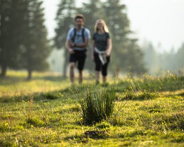Unitur_Rogla_poletje_Medja_Male_072