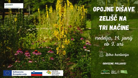Opojne dišave zelišč na tri načine, 14. 6. 2026.jpg