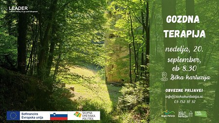 Gozdna terapija - 20. 9. 2026